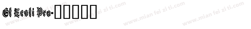 Gt Eesti Pro字体转换